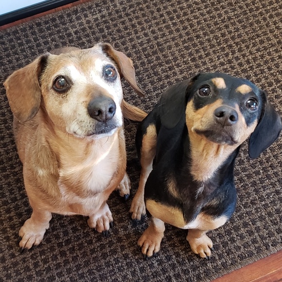 Meet your Posher, Larisa - Picture 8 of 8